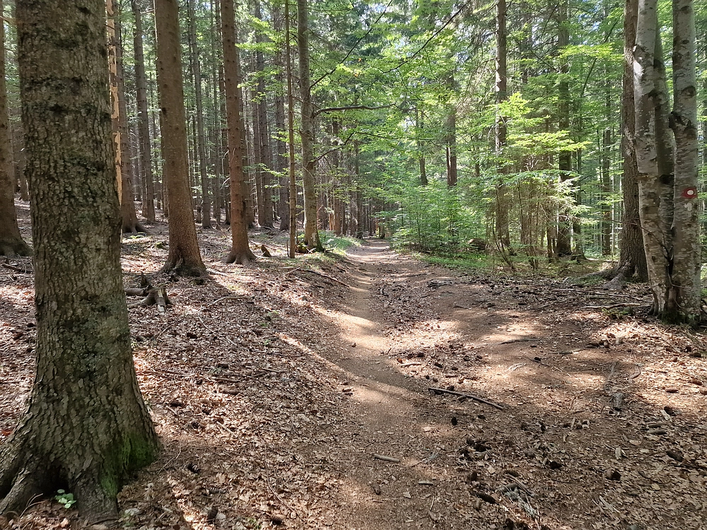 Bajgot - Ruška koča, 15. 8. 2025