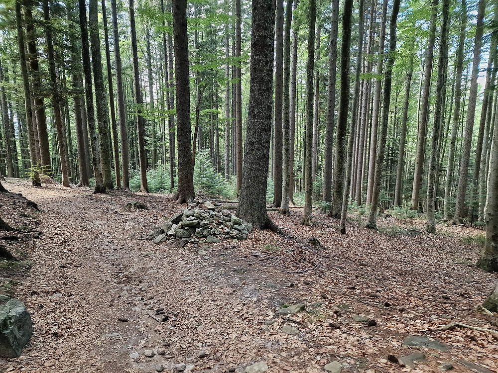 Bajgot - Ruška koča, 15. 8. 2025