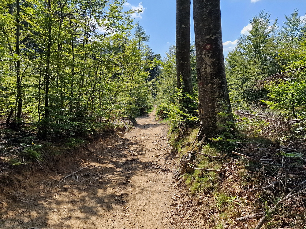 Bajgot - Ruška koča, 15. 8. 2025