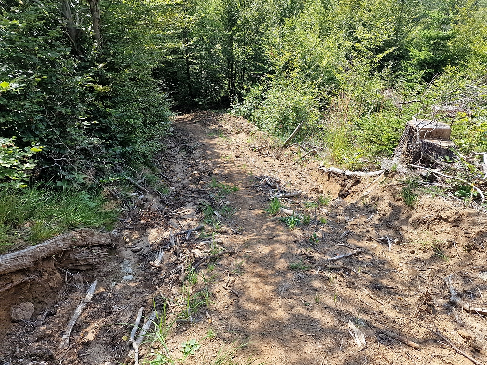 Bajgot - Ruška koča, 15. 8. 2025