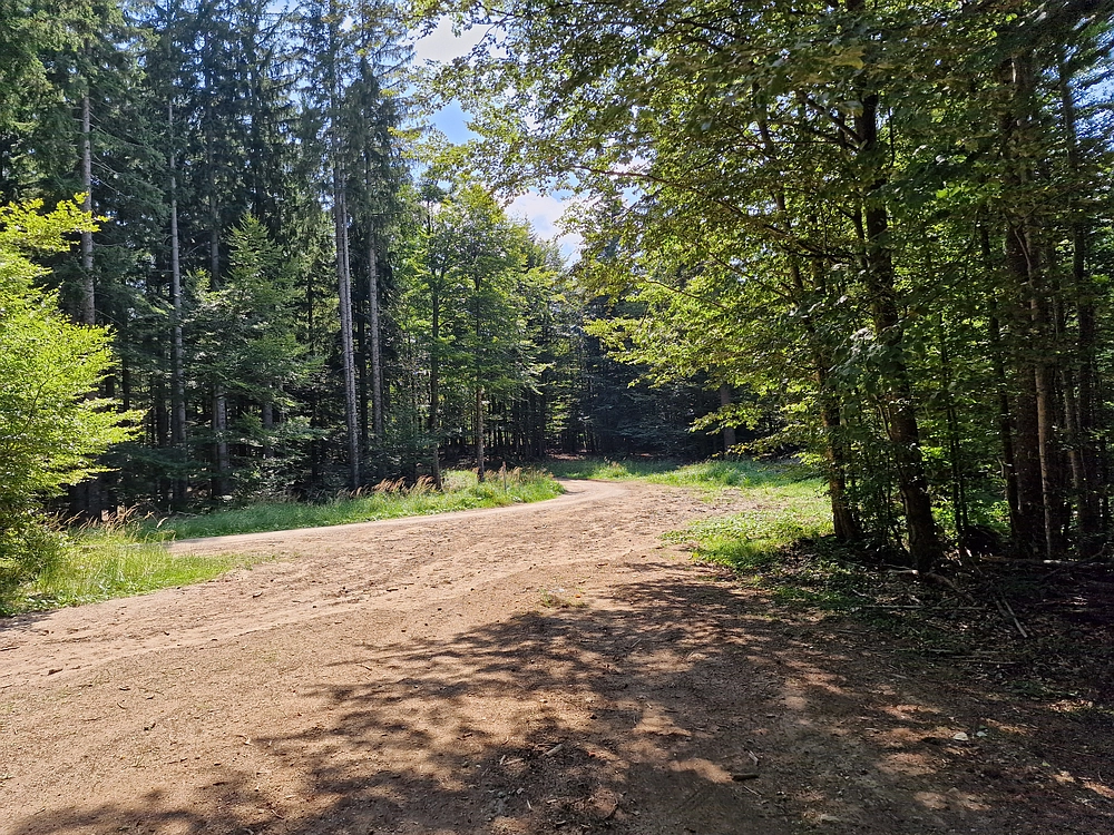 Bajgot - Ruška koča, 15. 8. 2025