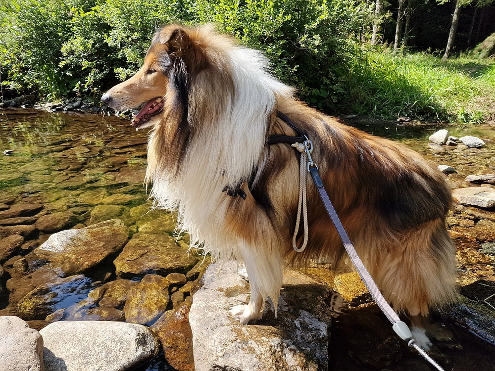 Bajgot - Ruška koča, 15. 8. 2025