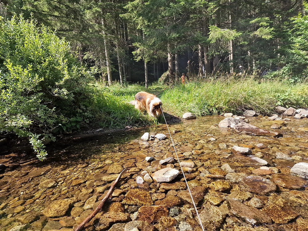 Bajgot - Ruška koča, 15. 8. 2025
