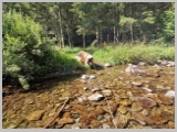 Slika_083.webp