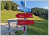Slika_002.webp
