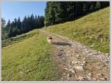 Slika_008.webp