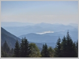 Slika_011.webp