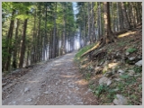 Slika_013.webp