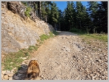 Slika_015.webp