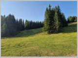 Slika_017.webp