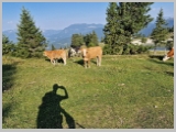 Slika_031.webp