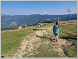 Slika_045.webp