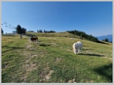 Slika_046.webp