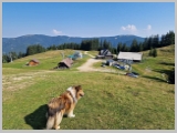 Slika_048.webp