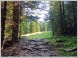 Slika_049.webp