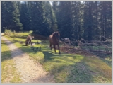 Slika_053.webp