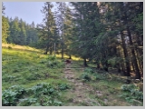 Slika_058.webp