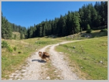 Slika_064.webp