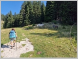 Slika_065.webp