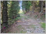 Slika_067.webp