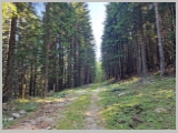 Slika_073.webp