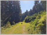 Slika_074.webp