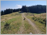 Slika_077.webp