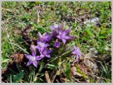 Slika_078.webp