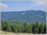 Slika_079.webp
