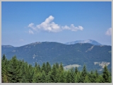 Slika_081.webp