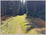 Slika_082.webp