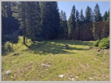 Slika_083.webp