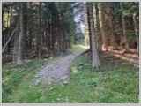 Slika_084.webp