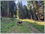 Slika_085.webp