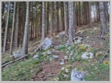 Slika_088.webp