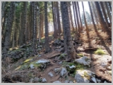 Slika_089.webp