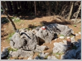 Slika_094.webp