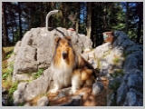 Slika_095.webp