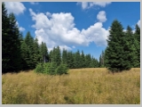 Slika_103.webp