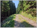 Slika_106.webp