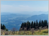 Slika_107.webp