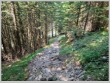 Slika_111.webp