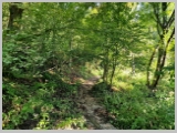 Slika_023.webp