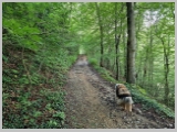 Slika_029.webp