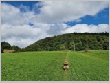 Slika_032.webp