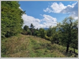 Slika_033.webp