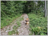 Slika_035.webp
