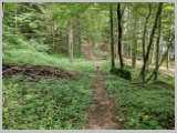 Slika_036.webp