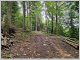 Slika_038.webp