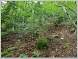 Slika_042.webp
